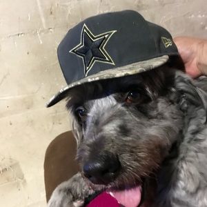 Meet your Posher, Johnny